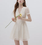 DR236100/Pre-order