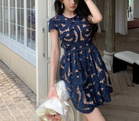 DR235201/Pre-order