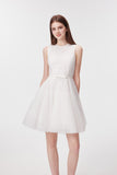 DR236205/Pre-order 2 colours