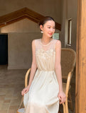 DR236210/Pre-order