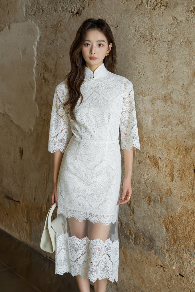 DR235213/Pre-order
