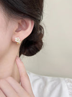 ER25133/Pre-order