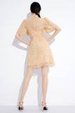 DR23434/Pre-order