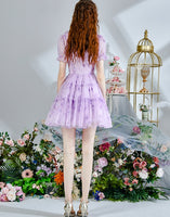 DR235237/Pre-order