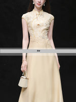 DR232503/Pre-order
