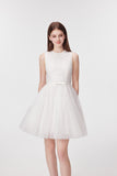 DR236205/Pre-order 2 colours