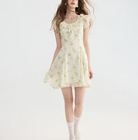 DR235093/Pre-order