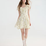 DR235093/Pre-order