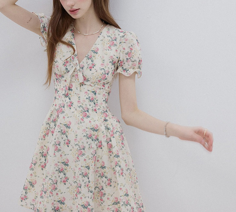 DR236088/Pre-order