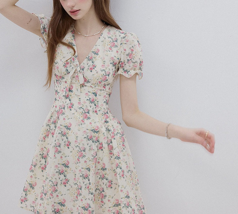 DR236275/Pre-order