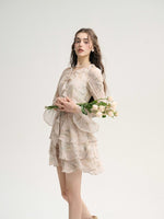 DR235586/Pre-order