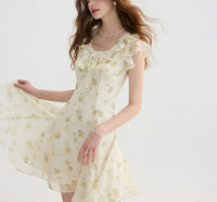 DR235093/Pre-order