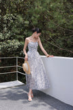 DR235565/Pre-order