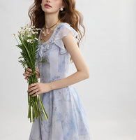 DR235157/Pre-order