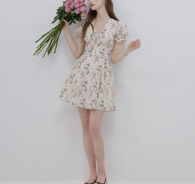 DR236088/Pre-order