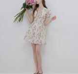 DR236088/Pre-order