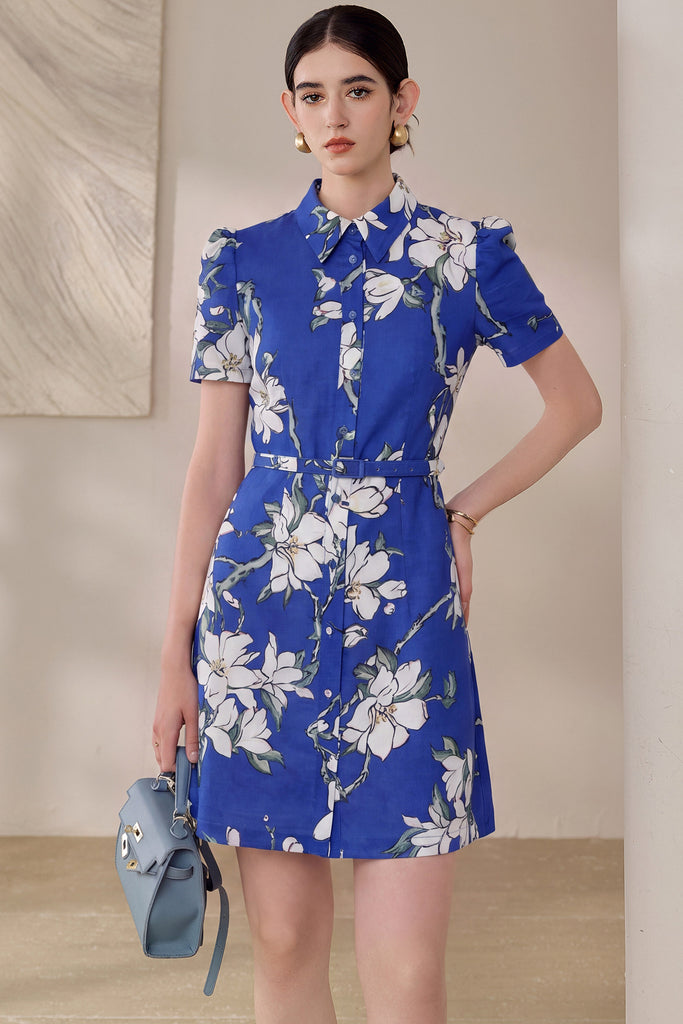 DR236126/Pre-order