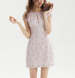 DR236207/Pre-order
