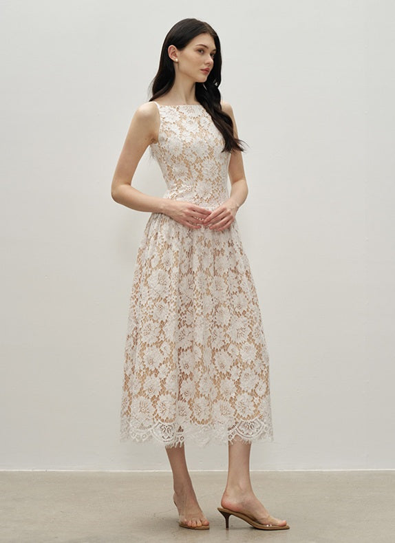 DR236302/Pre-order