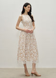 DR236302/Pre-order