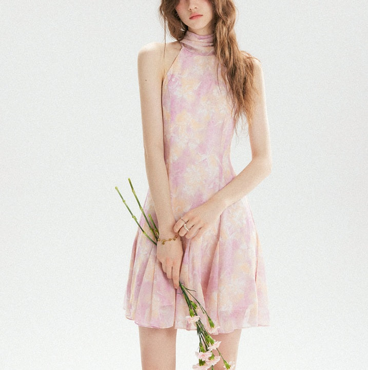 DR236183/Pre-order
