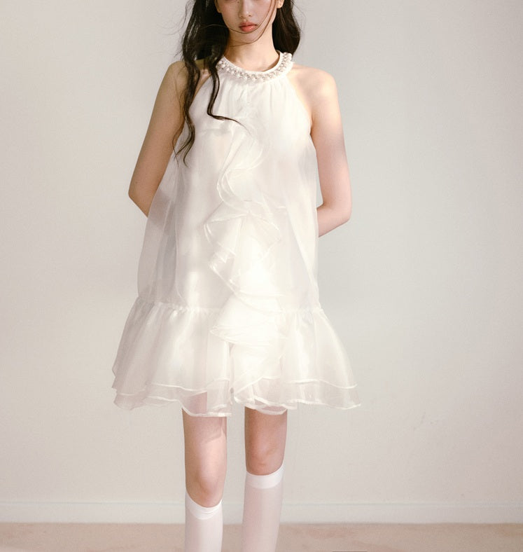 DR235109/Pre-order