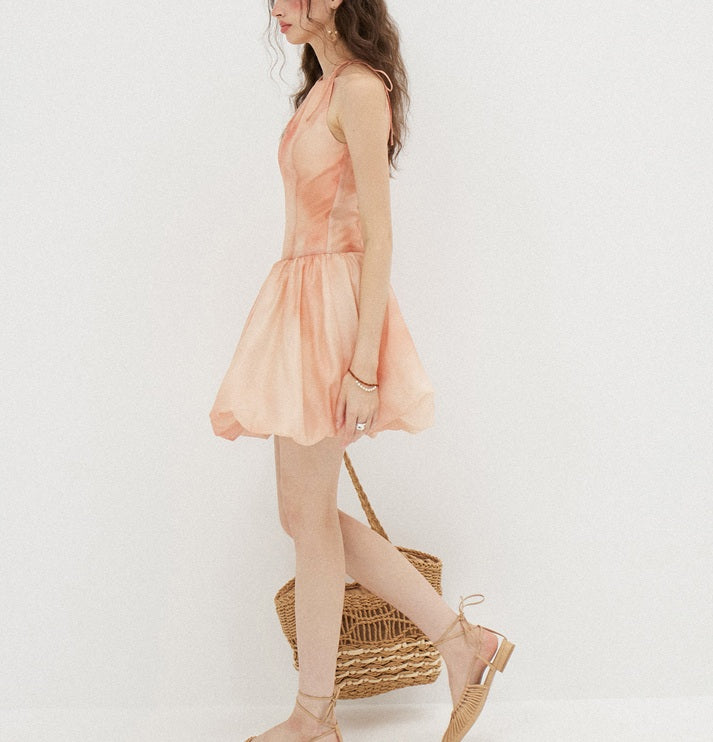 DR236222/Pre-order