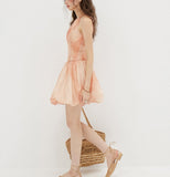 DR236222/Pre-order