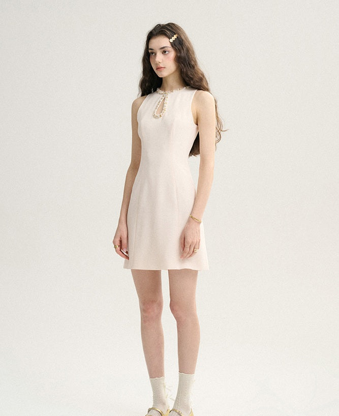 DR235571/Pre-order