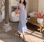 DR235004/Pre-order