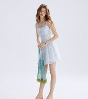 DR235570/Pre-order