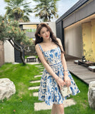 DR236131/Pre-order