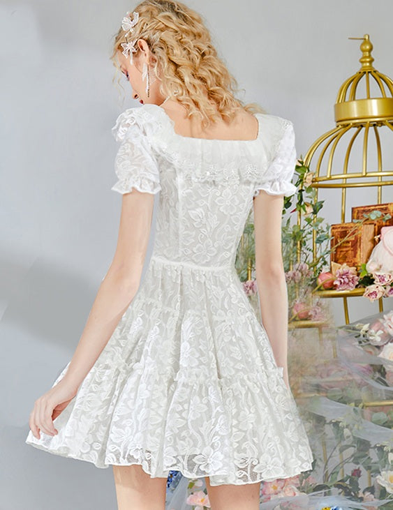DR235238/Pre-order