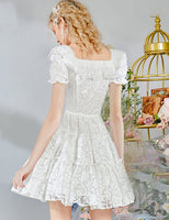 DR235238/Pre-order