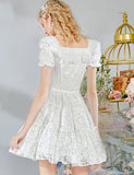 DR235238/Pre-order