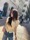 DR236214 Knit Top/Pre-order 2 colours
