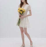 DR236100/Pre-order