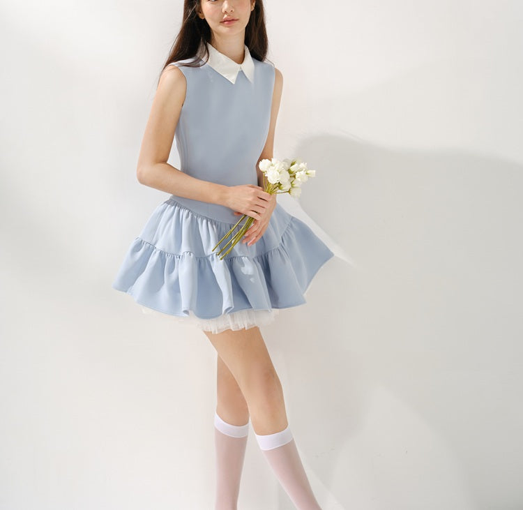 DR235235/Pre-order