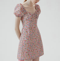 DR235663/Pre-order