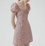 DR235663/Pre-order
