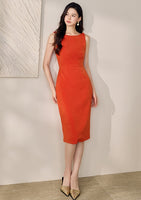 DR235228/Pre-order