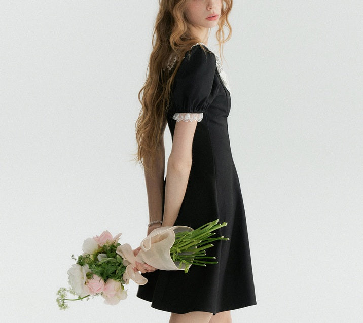DR236292/Pre-order