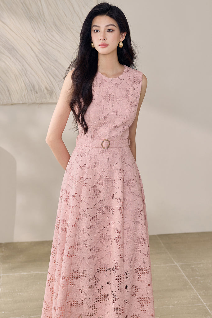 DR235560/Pre-order