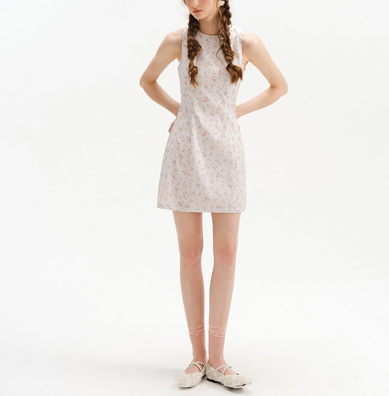 DR235641/Pre-order