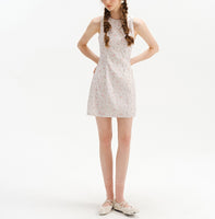 DR235641/Pre-order