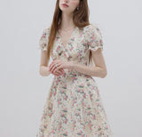 DR236275/Pre-order