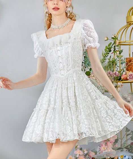 DR235238/Pre-order