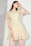 DR232531/Pre-order {Restocked}
