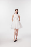 DR236205/Pre-order 2 colours