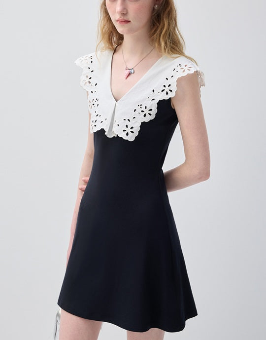 DR236144/Pre-order